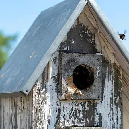 Am-hohen-ufer-reetdach-haus-ocean-breeze-136 Tatil Evi *